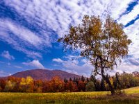 Beskid Niski